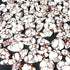 Wild Horse Magnesite Gemstone, Natural Wild Horse Magnesite Stone, Wild Horse Magnesite Cabochon Lot For Jewelry Making Stone Handmade Stone